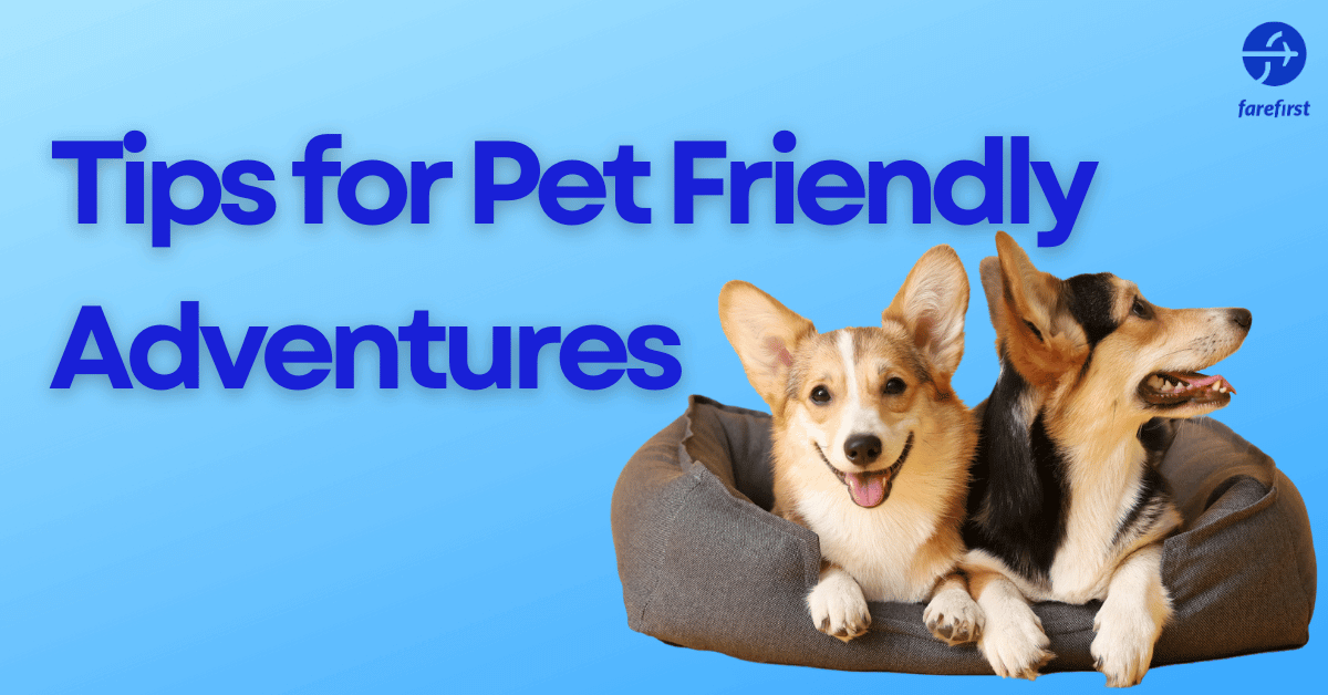5 Tips for Pet-Friendly Adventures